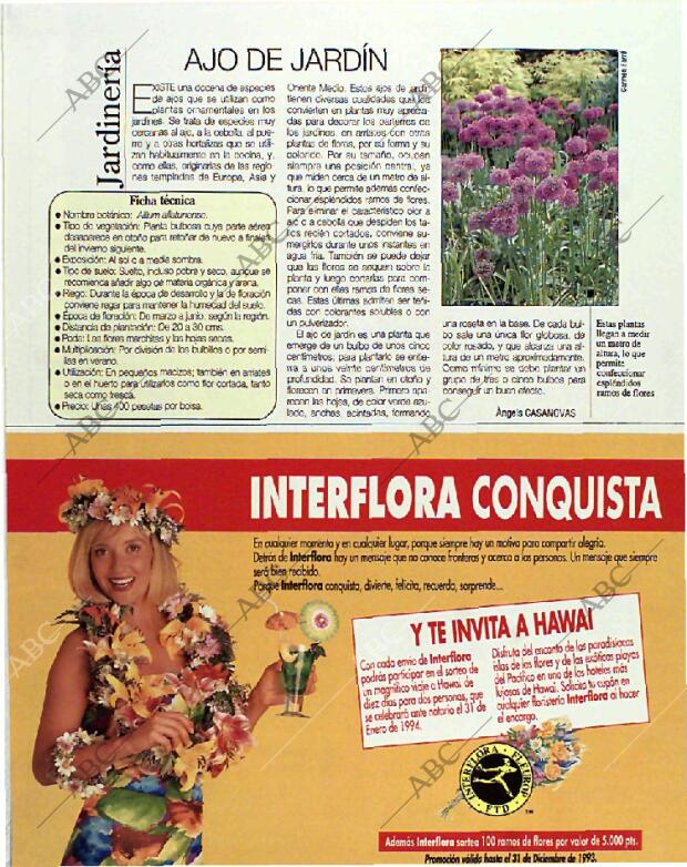 BLANCO Y NEGRO MADRID 17-10-1993 página 119