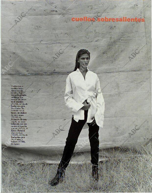 BLANCO Y NEGRO MADRID 17-10-1993 página 87