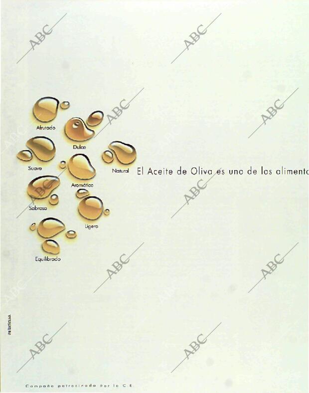 BLANCO Y NEGRO MADRID 24-10-1993 página 104