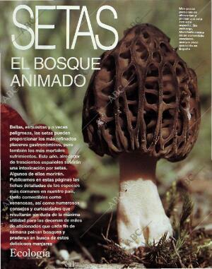 BLANCO Y NEGRO MADRID 24-10-1993 página 63