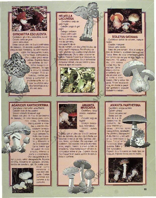 BLANCO Y NEGRO MADRID 24-10-1993 página 65