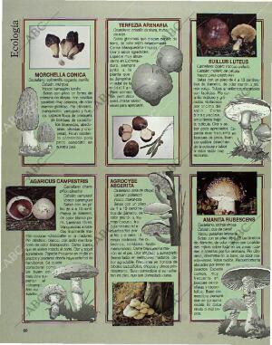 BLANCO Y NEGRO MADRID 24-10-1993 página 66