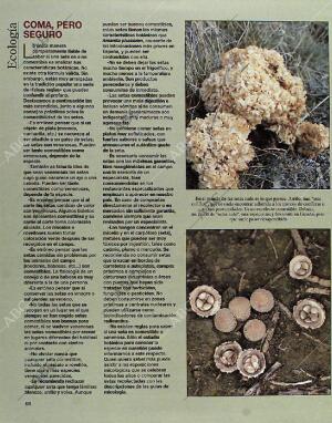 BLANCO Y NEGRO MADRID 24-10-1993 página 68