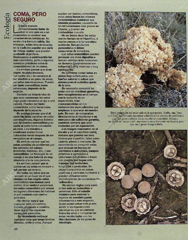 BLANCO Y NEGRO MADRID 24-10-1993 página 68