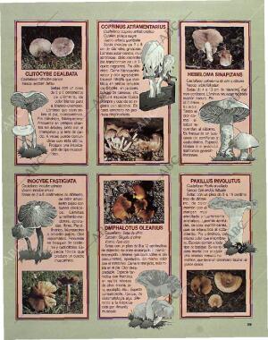 BLANCO Y NEGRO MADRID 24-10-1993 página 69