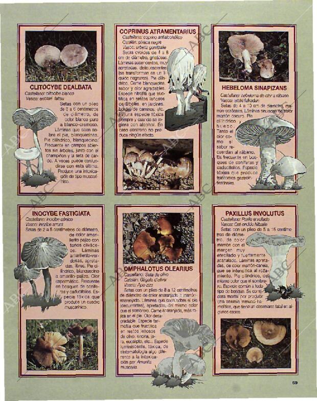 BLANCO Y NEGRO MADRID 24-10-1993 página 69