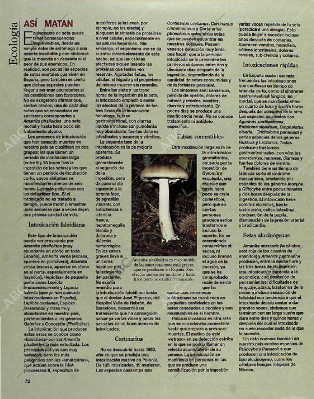 BLANCO Y NEGRO MADRID 24-10-1993 página 72