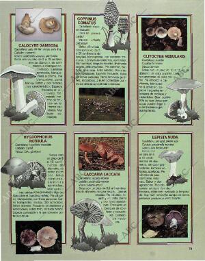 BLANCO Y NEGRO MADRID 24-10-1993 página 73