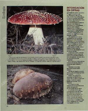 BLANCO Y NEGRO MADRID 24-10-1993 página 74