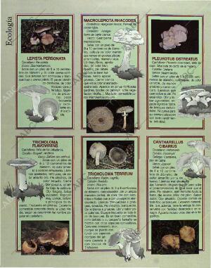 BLANCO Y NEGRO MADRID 24-10-1993 página 76