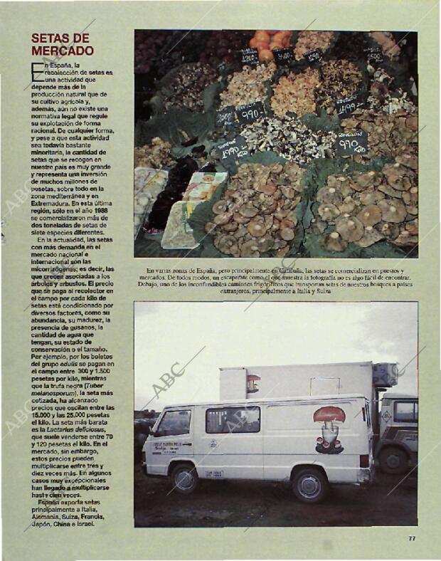 BLANCO Y NEGRO MADRID 24-10-1993 página 77