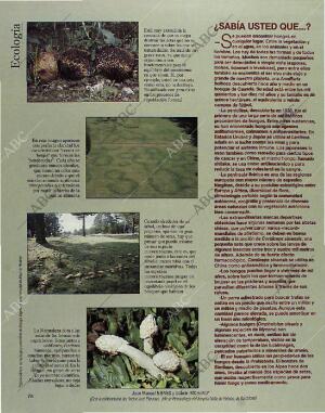 BLANCO Y NEGRO MADRID 24-10-1993 página 78