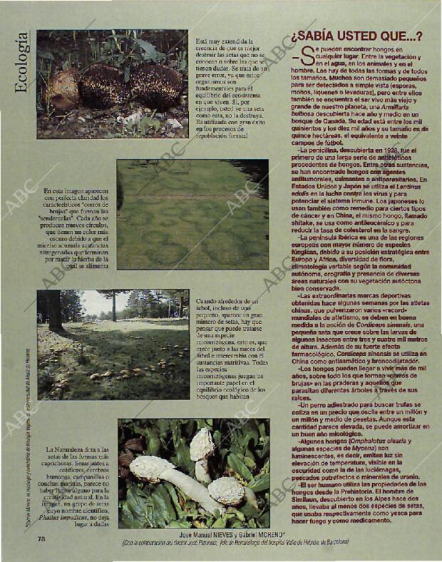 BLANCO Y NEGRO MADRID 24-10-1993 página 78