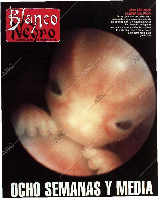 BLANCO Y NEGRO MADRID 14-11-1993 página 1