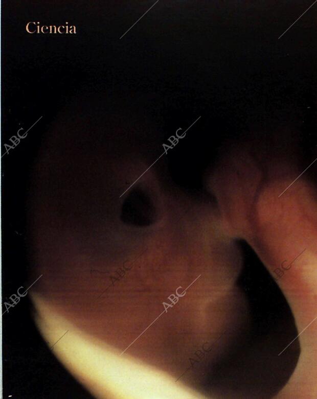 BLANCO Y NEGRO MADRID 14-11-1993 página 32