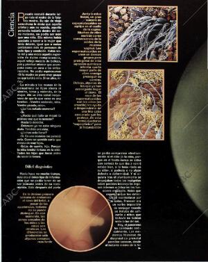 BLANCO Y NEGRO MADRID 14-11-1993 página 34