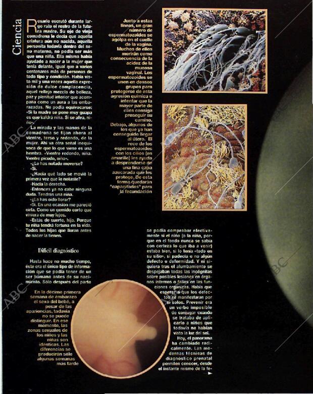 BLANCO Y NEGRO MADRID 14-11-1993 página 34