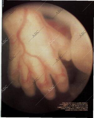 BLANCO Y NEGRO MADRID 14-11-1993 página 35