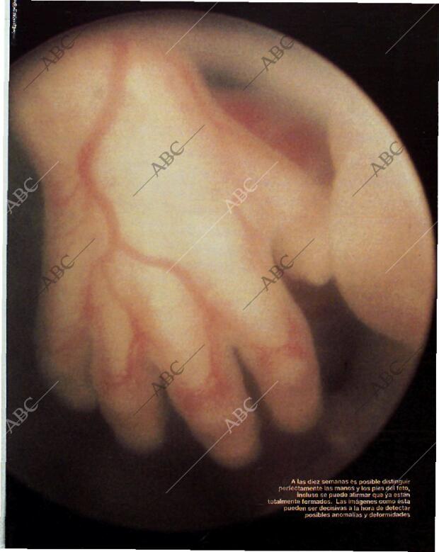 BLANCO Y NEGRO MADRID 14-11-1993 página 35