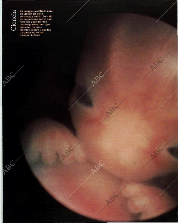 BLANCO Y NEGRO MADRID 14-11-1993 página 36