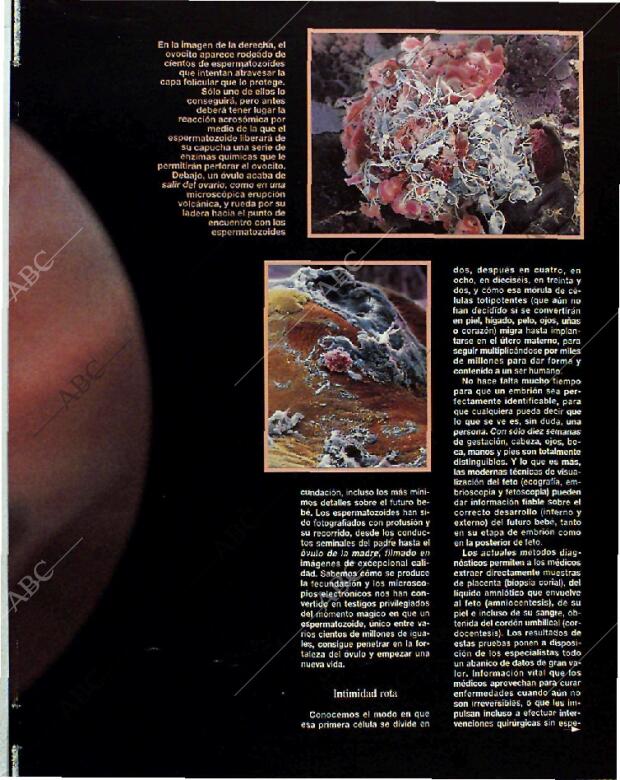 BLANCO Y NEGRO MADRID 14-11-1993 página 37