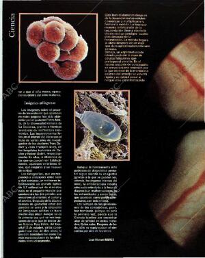 BLANCO Y NEGRO MADRID 14-11-1993 página 38