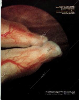 BLANCO Y NEGRO MADRID 14-11-1993 página 39