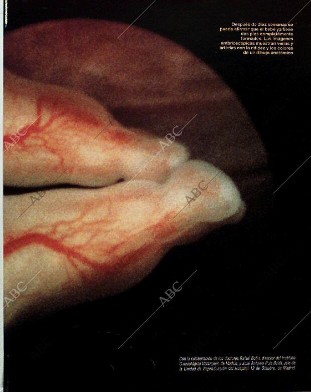 BLANCO Y NEGRO MADRID 14-11-1993 página 39