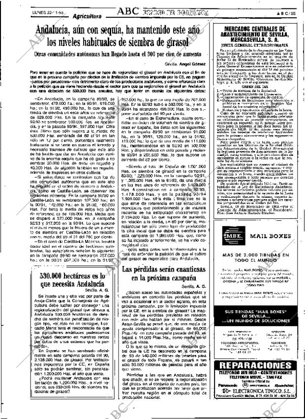 ABC SEVILLA 22-11-1993 página 55