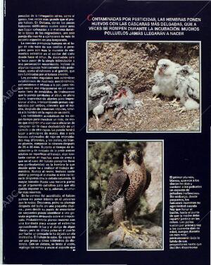 BLANCO Y NEGRO MADRID 28-11-1993 página 81