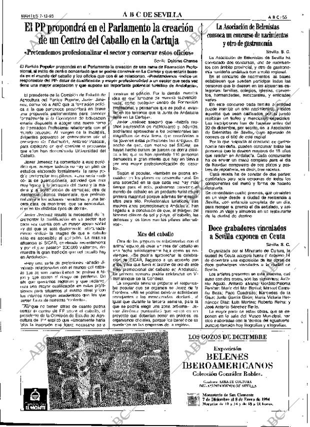 ABC SEVILLA 07-12-1993 página 55
