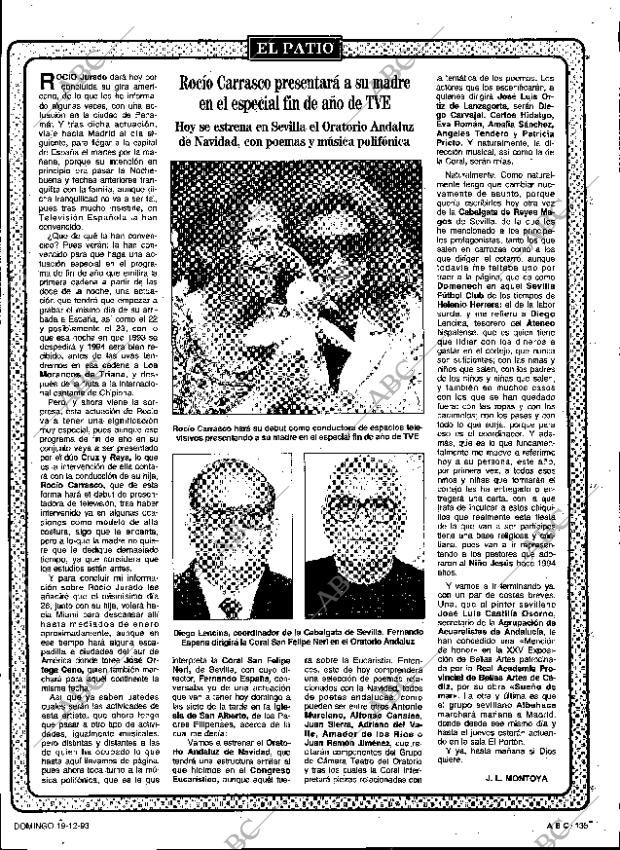 ABC SEVILLA 19-12-1993 página 135