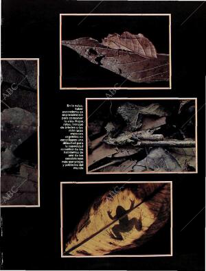 BLANCO Y NEGRO MADRID 09-01-1994 página 49