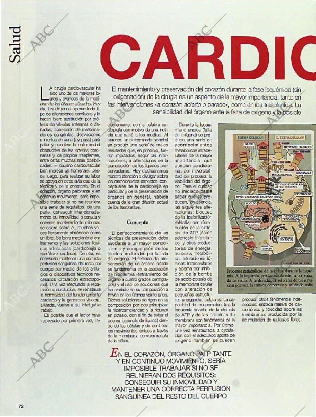 BLANCO Y NEGRO MADRID 09-01-1994 página 72