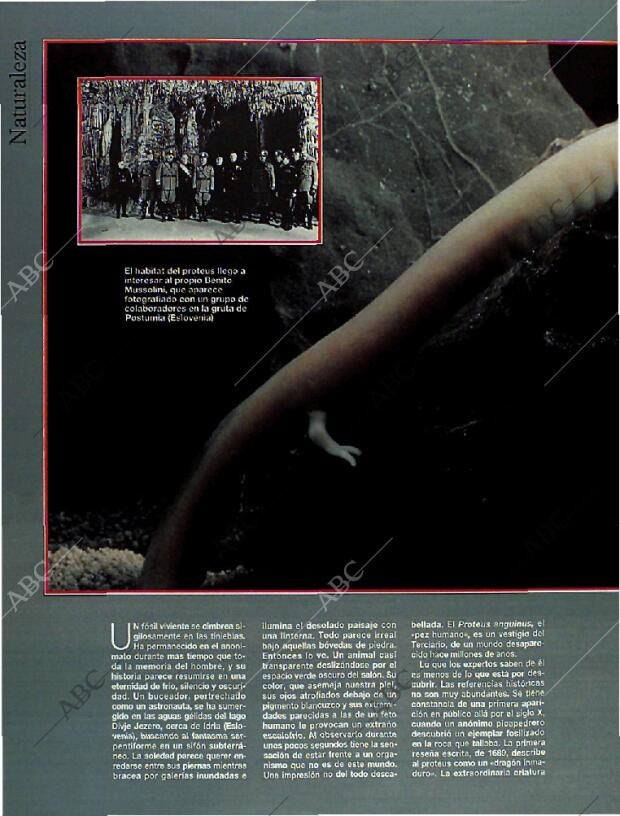 BLANCO Y NEGRO MADRID 16-01-1994 página 48