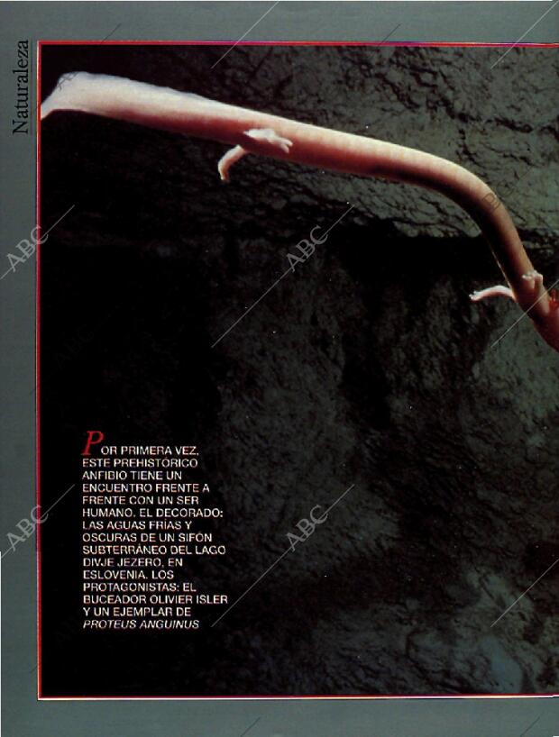 BLANCO Y NEGRO MADRID 16-01-1994 página 50