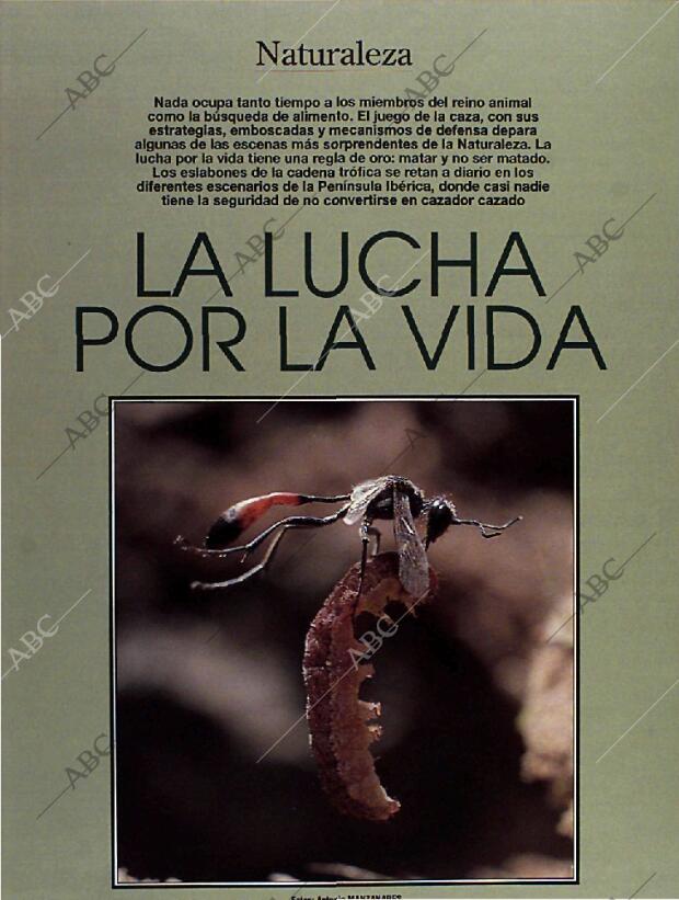 BLANCO Y NEGRO MADRID 23-01-1994 página 47