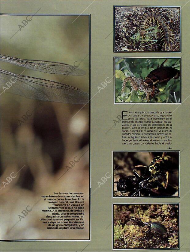 BLANCO Y NEGRO MADRID 23-01-1994 página 49