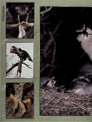 BLANCO Y NEGRO MADRID 23-01-1994 página 50