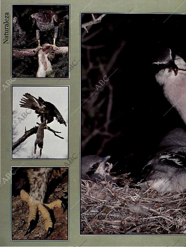 BLANCO Y NEGRO MADRID 23-01-1994 página 50