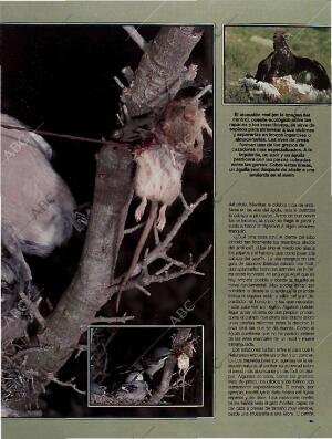 BLANCO Y NEGRO MADRID 23-01-1994 página 51