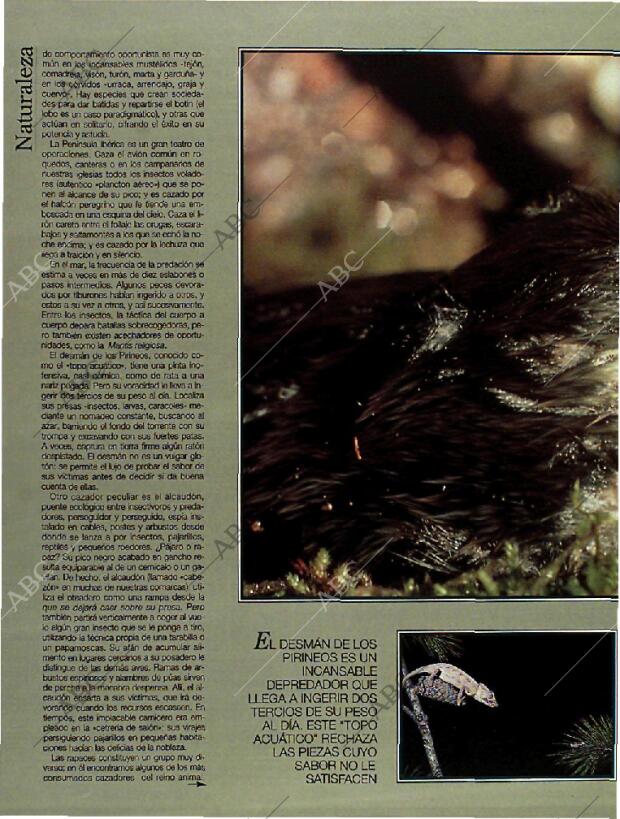 BLANCO Y NEGRO MADRID 23-01-1994 página 52