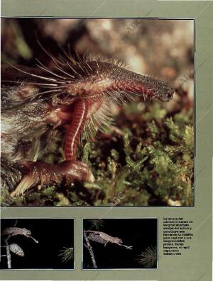 BLANCO Y NEGRO MADRID 23-01-1994 página 53