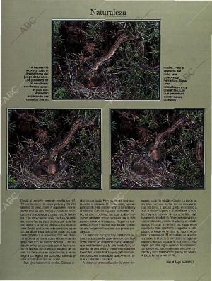 BLANCO Y NEGRO MADRID 23-01-1994 página 54