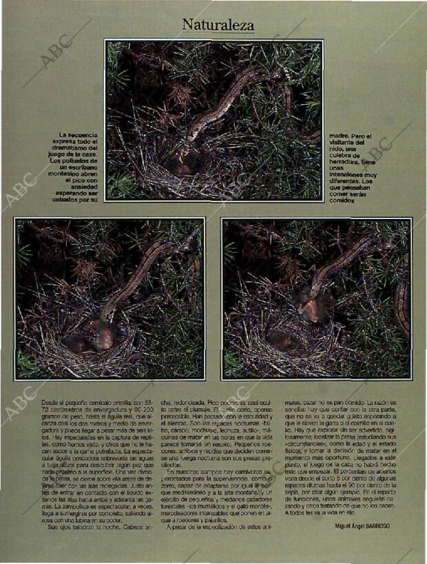 BLANCO Y NEGRO MADRID 23-01-1994 página 54