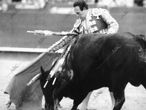 Curro Toreando con la muleta en Valencia