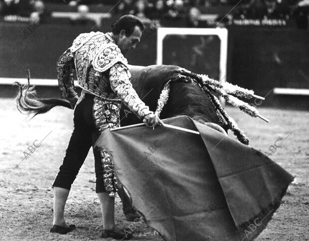 Curro romero Toreando con la muleta en Valencia