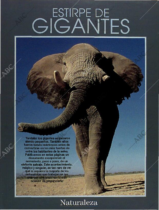 BLANCO Y NEGRO MADRID 13-03-1994 página 57