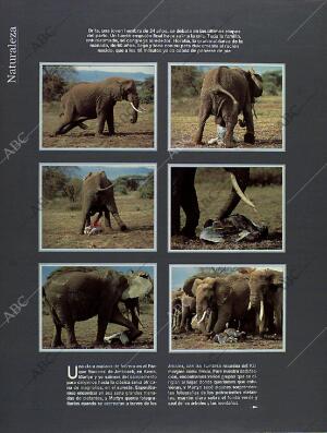 BLANCO Y NEGRO MADRID 13-03-1994 página 58