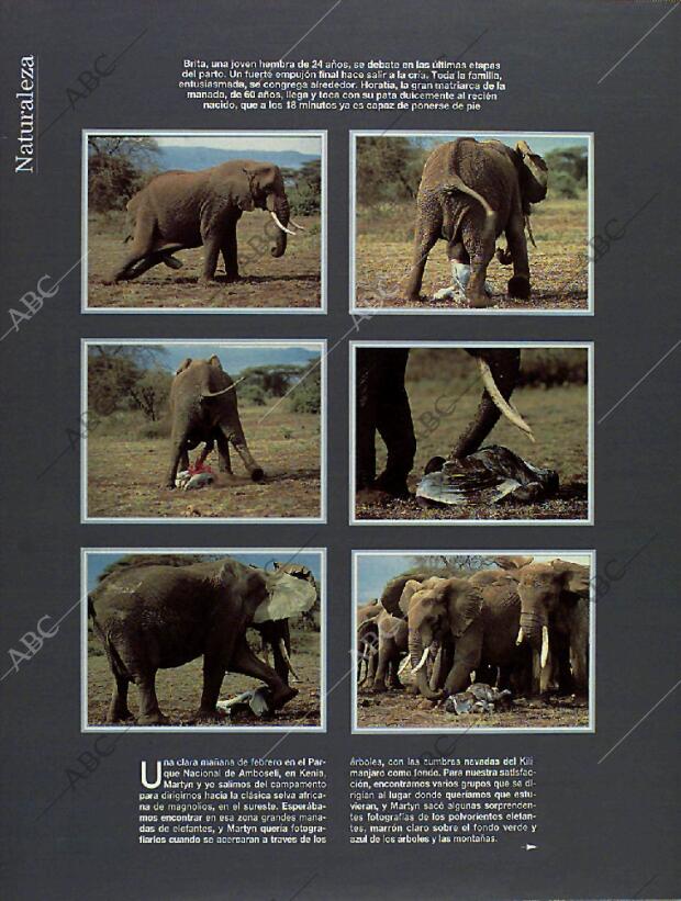 BLANCO Y NEGRO MADRID 13-03-1994 página 58